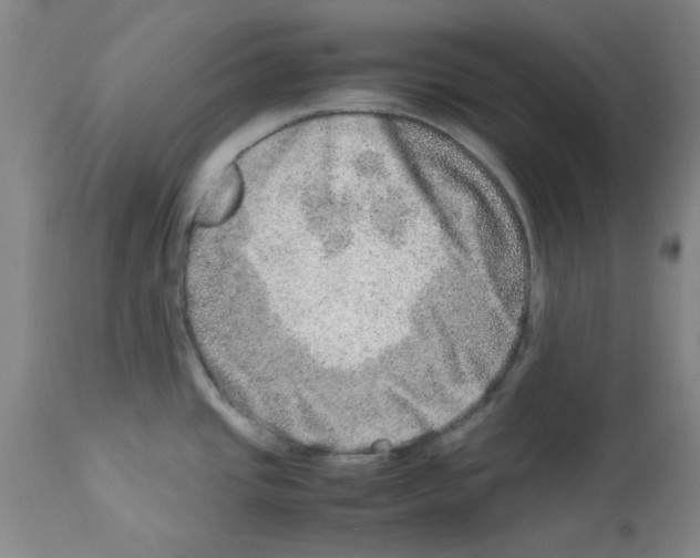X0000112951437200910051208