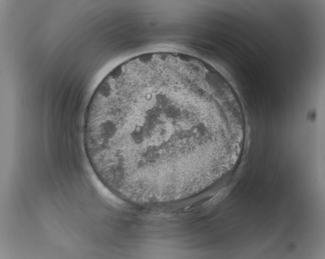 X0000112951438200910051208