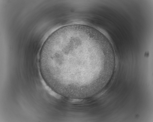 X0000112951439200910051208