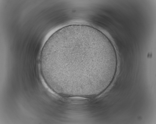 X0000112951440200910051209