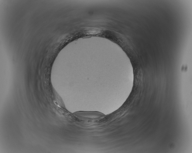 X0000112951441200910051208