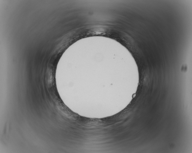 X0000112951442200910051208