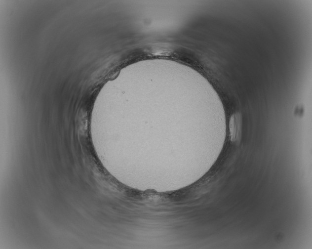X0000112951443200910051208