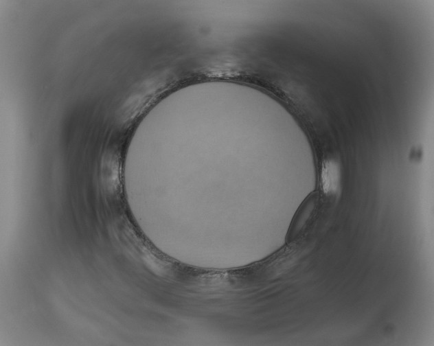 X0000112951444200910051208