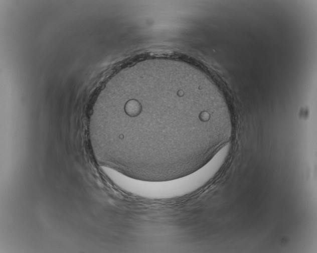 X0000112951445200910051208