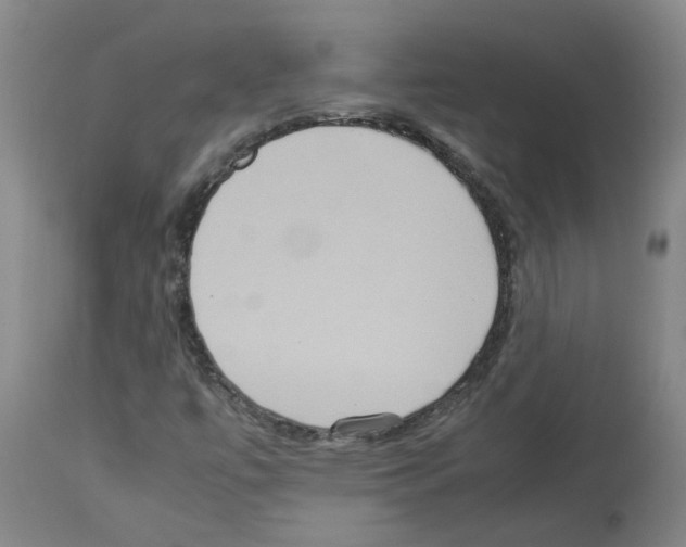 X0000112951447200910051208