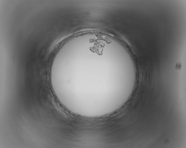 X0000112951448200910051208