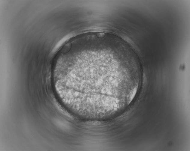 X0000112951450200910051208