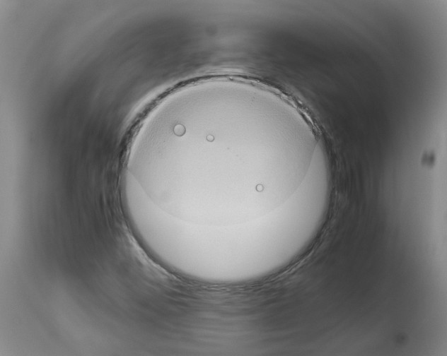 X0000112951452200910051208