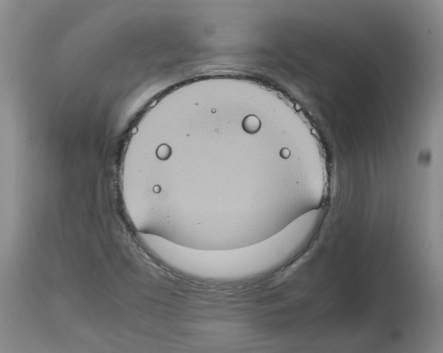 X0000112951453200910051208