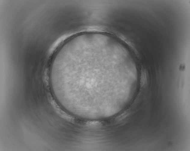 X0000112951454200910051208