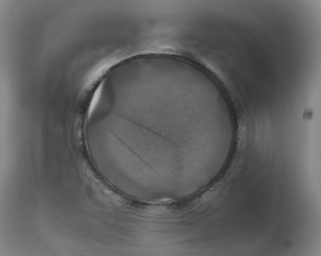 X0000112951455200910051208