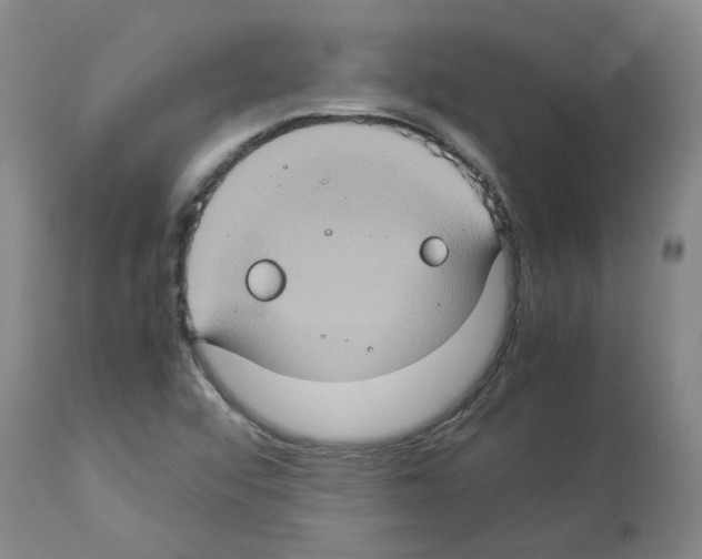 X0000112951456200910051208