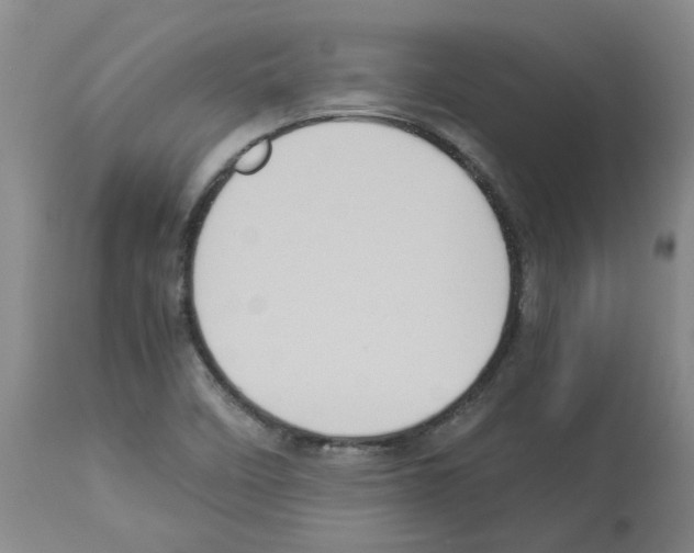 X0000112951458200910051208