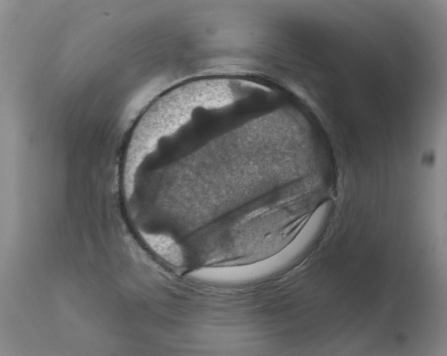 X0000112951459200910051208