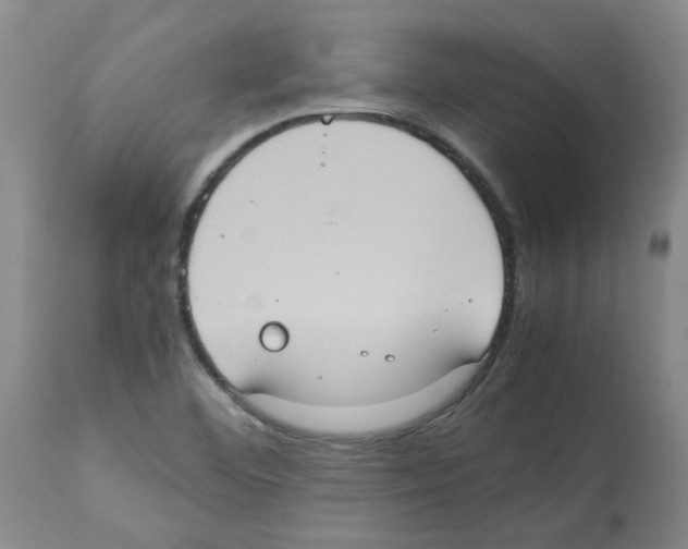 X0000112951460200910051208
