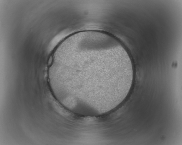 X0000112951461200910051208