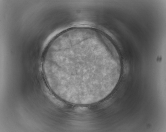 X0000112951462200910051208