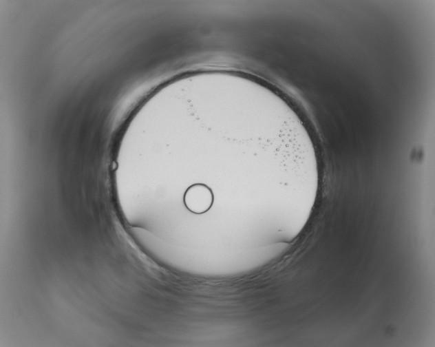 X0000112951464200910051208