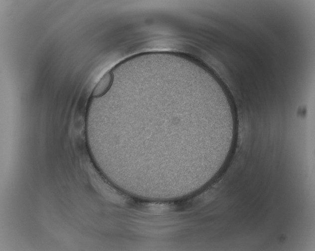 X0000112951465200910051208