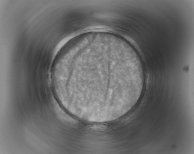 X0000112951466200910051208