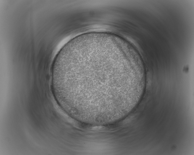 X0000112951467200910051207