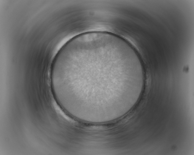 X0000112951468200910051207