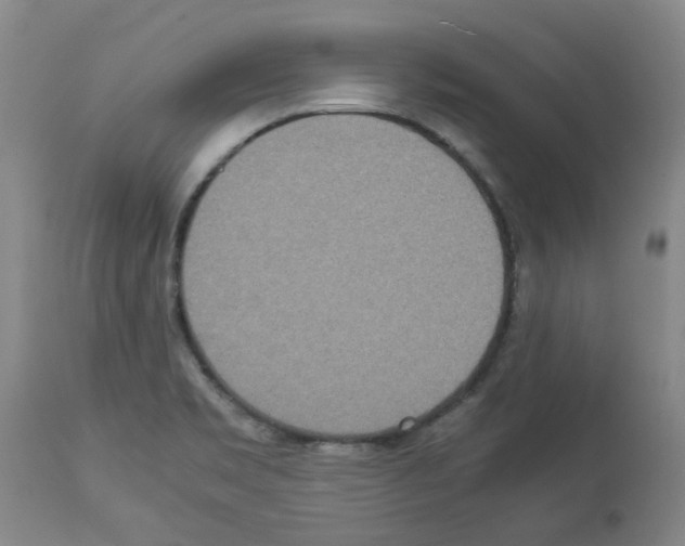X0000112951469200910051207