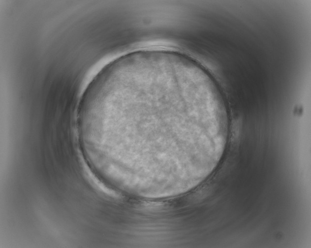 X0000112951470200910051207