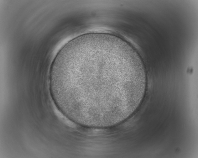 X0000112951471200910051207