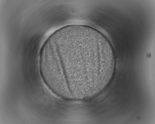 X0000112951472200910051207