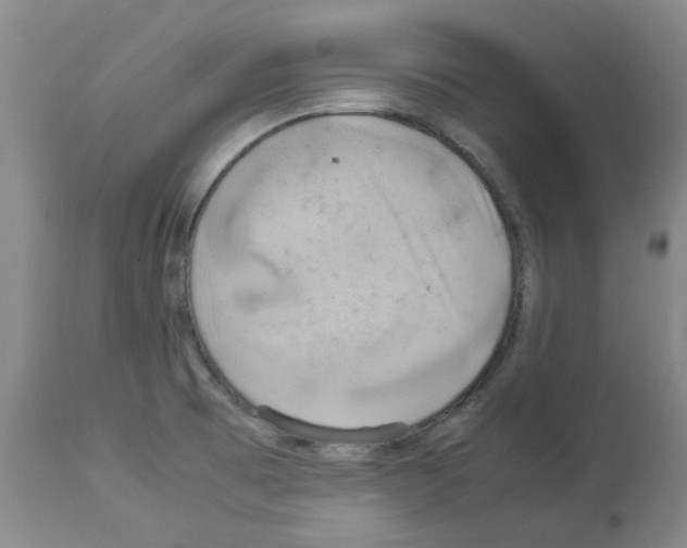 X0000112951473200910051207