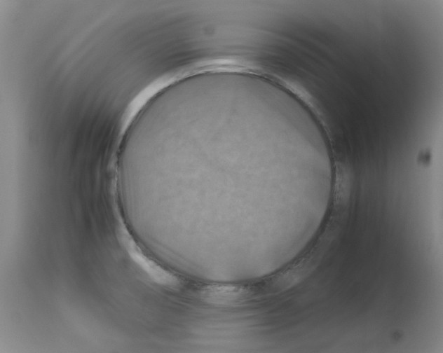 X0000112951474200910051207