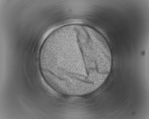 X0000112951475200910051207