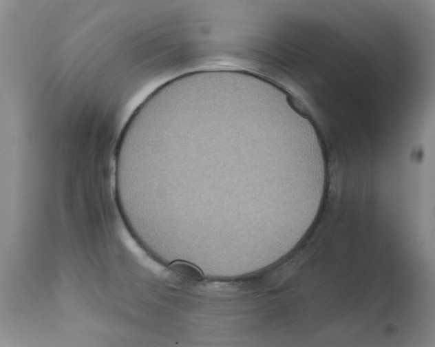 X0000112951476200910051207