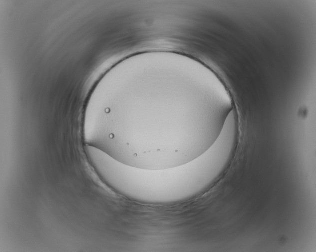 X0000112951477200910051207