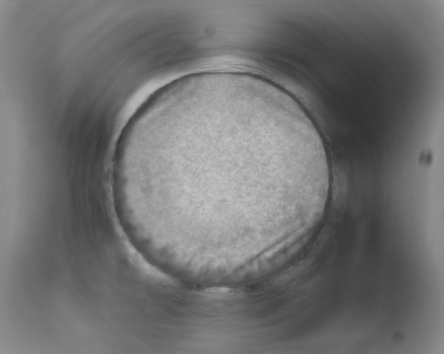 X0000112951478200910051207