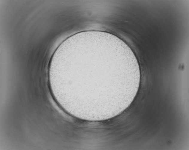 X0000112951479200910051207