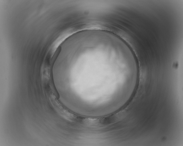 X0000112951481200910051207