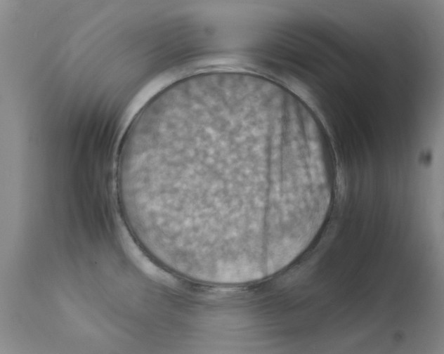 X0000112951482200910051207