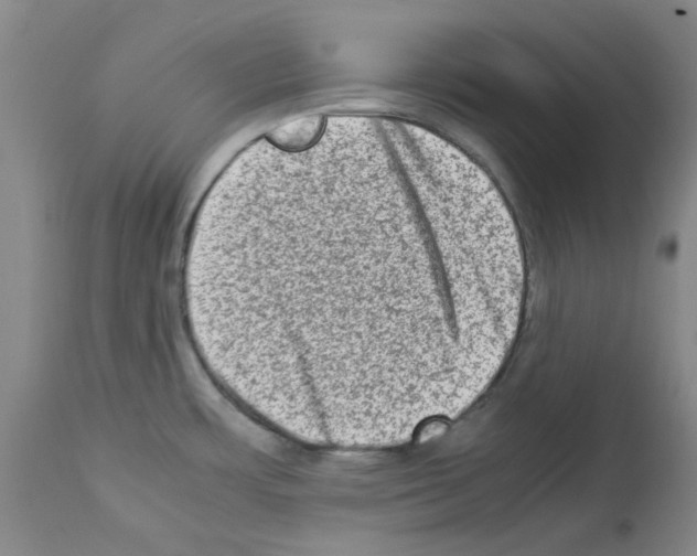 X0000112951483200910051207