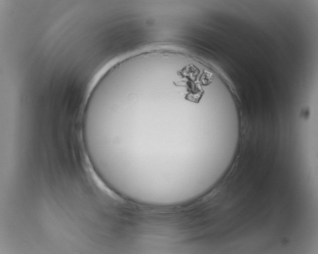 X0000112951484200910051207