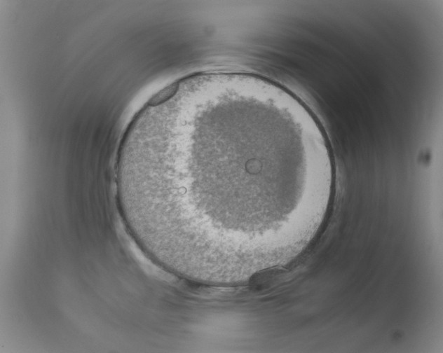 X0000112951485200910051207