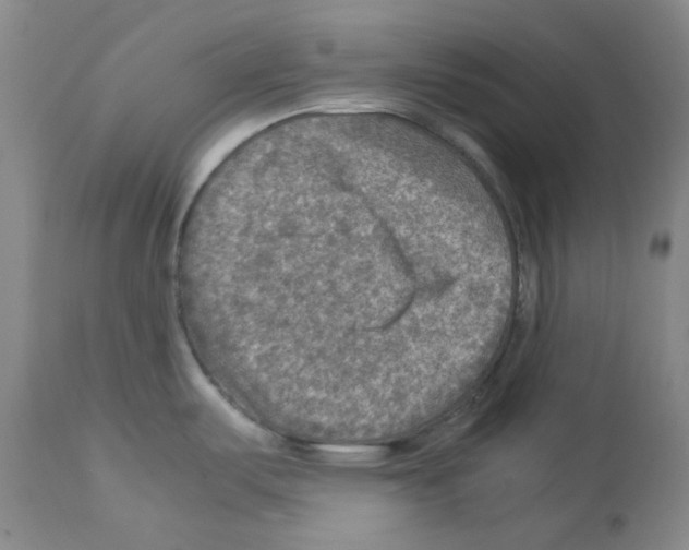 X0000112951487200910051207