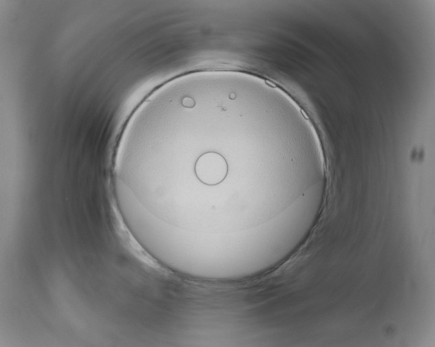 X0000112951488200910051207