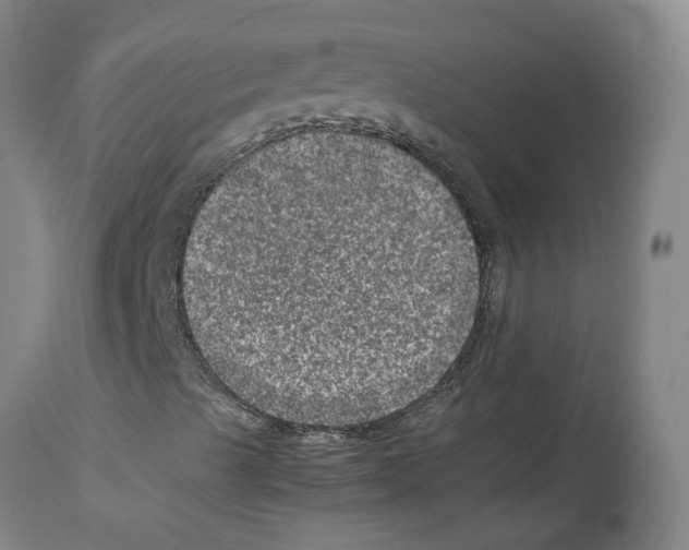 X0000112951489200910051206