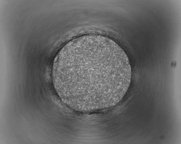 X0000112951490200910051206