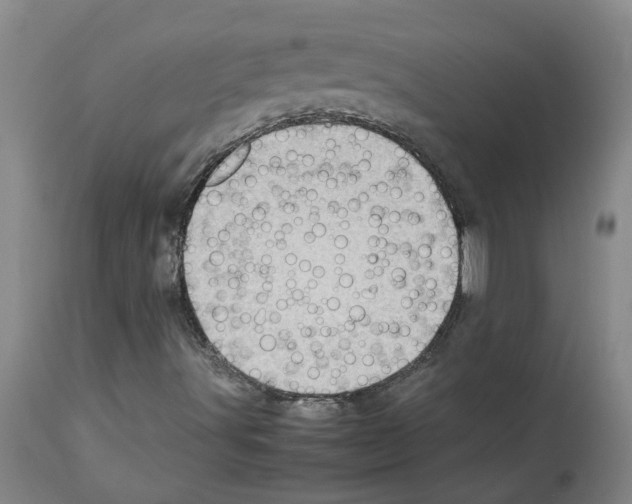 X0000112951491200910051206