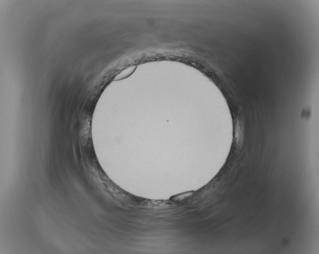 X0000112951492200910051206