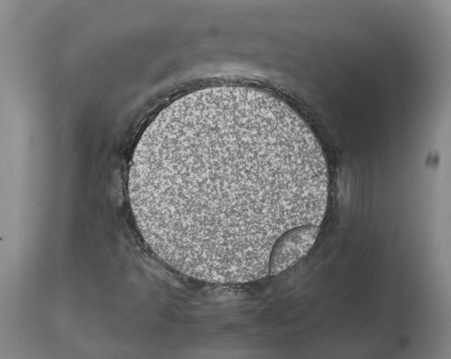 X0000112951493200910051206